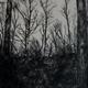 Tree Drawing 2