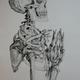 Skeleton Studies