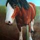 Shire Horse