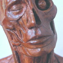 Anatomical study