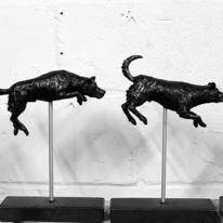 Small leaping dogs