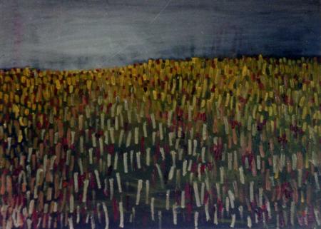 Field