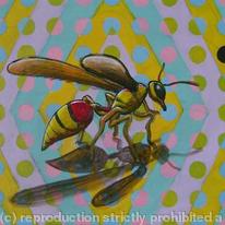 Wasp