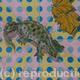 Lizard
