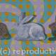 Hare