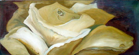Beige Rose