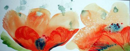 Poppies