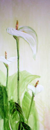 Lily