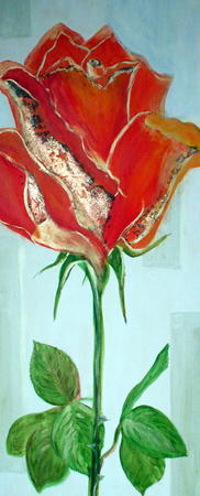 Gold Rose
