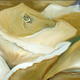 Beige Rose | | 100 x 40cm | Oil on Box Canvas Beige Rose