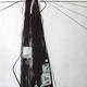 Up a Pole