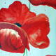 poppies