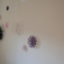 hidden Selection of Blooms…