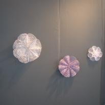 Blooms