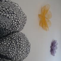 Blooms