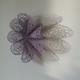 Lilac Bloom | | | Lilac Bloom