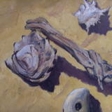 Wood and Shell - Oil on Canvas