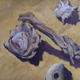 Wood and Shell