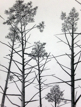 Detail from The Element of Distraction