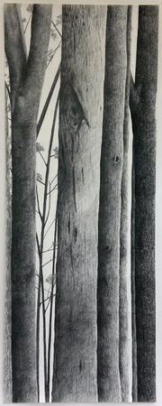 Untitled 2