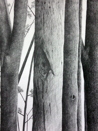 Detail from Untitled 2