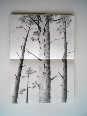 Study