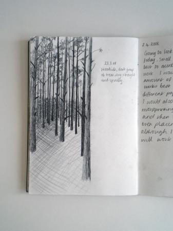 Untitled Study