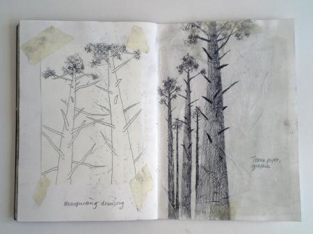 Studies for prints