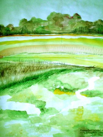 Field study