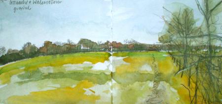 Small field study