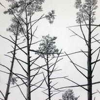 Detail from The Element of Distraction