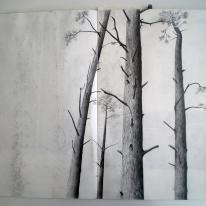 Tree Study