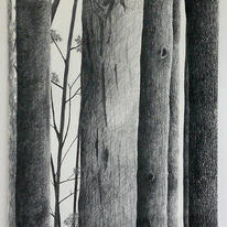 Untitled 2