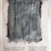 Study for Acrylic pieces