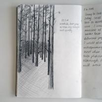 Untitled Study