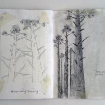 Studies for prints