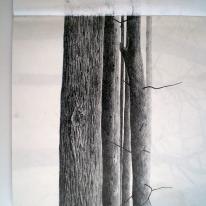 Woodland Study 2