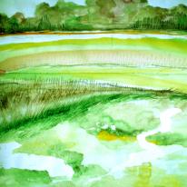 Field study
