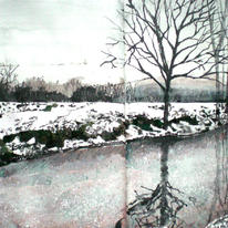 Snowy River study