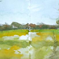 Small field study