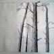 Tree Study | | | Pencil Tree Study