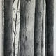 Untitled 2 | | | Graphite on Fabriano Paper Untitled 2