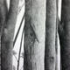 Detail from Untitled…