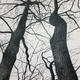 Detail from To Be Faraway