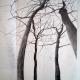 Tree Study | | | Pencil Tree Study