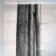 Woodland Study 2
