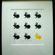 Black Rabbit, Yellow…