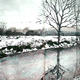 Snowy River study