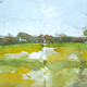 Small field study