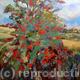 Rowan tree, garden